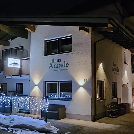 Maisonette Haus Amade Holiday home Flachau