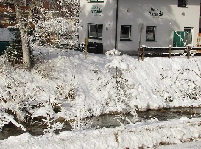 Maisonette Haus Amade * Flachau